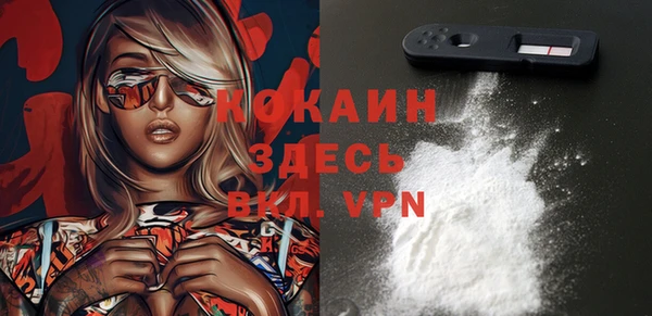 гашик Белоозёрский