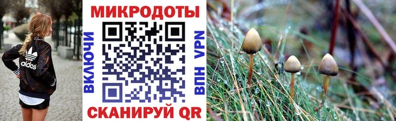 Псилоцибиновые грибы Cubensis  Ворсма 